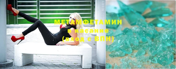 прущие грибы Белокуриха
